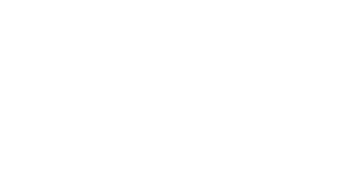 Ziba Seguros